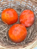 Хурма медовая 1