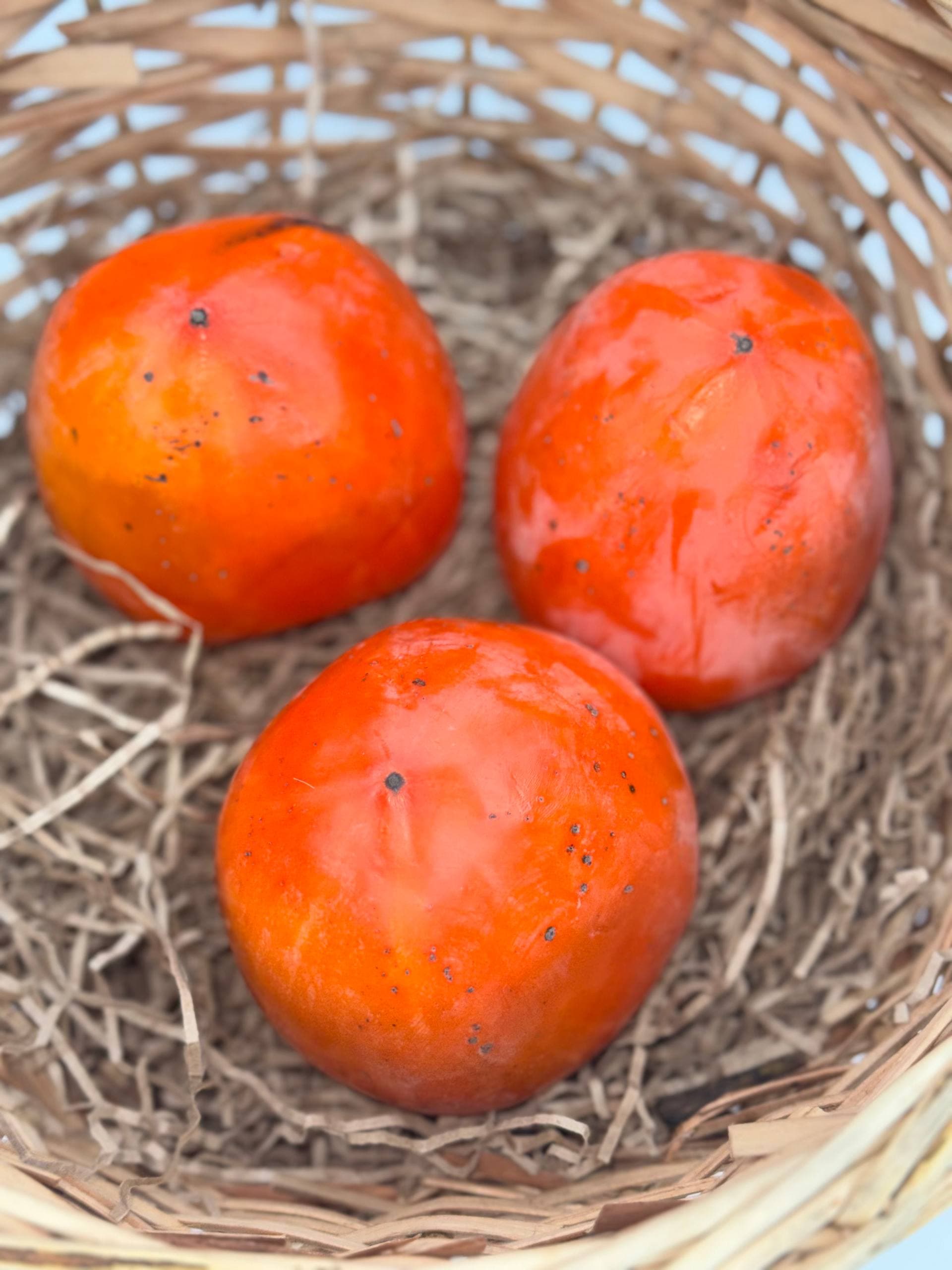 Хурма медовая 1