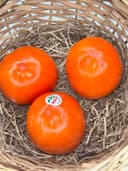 Хурма Испания 1