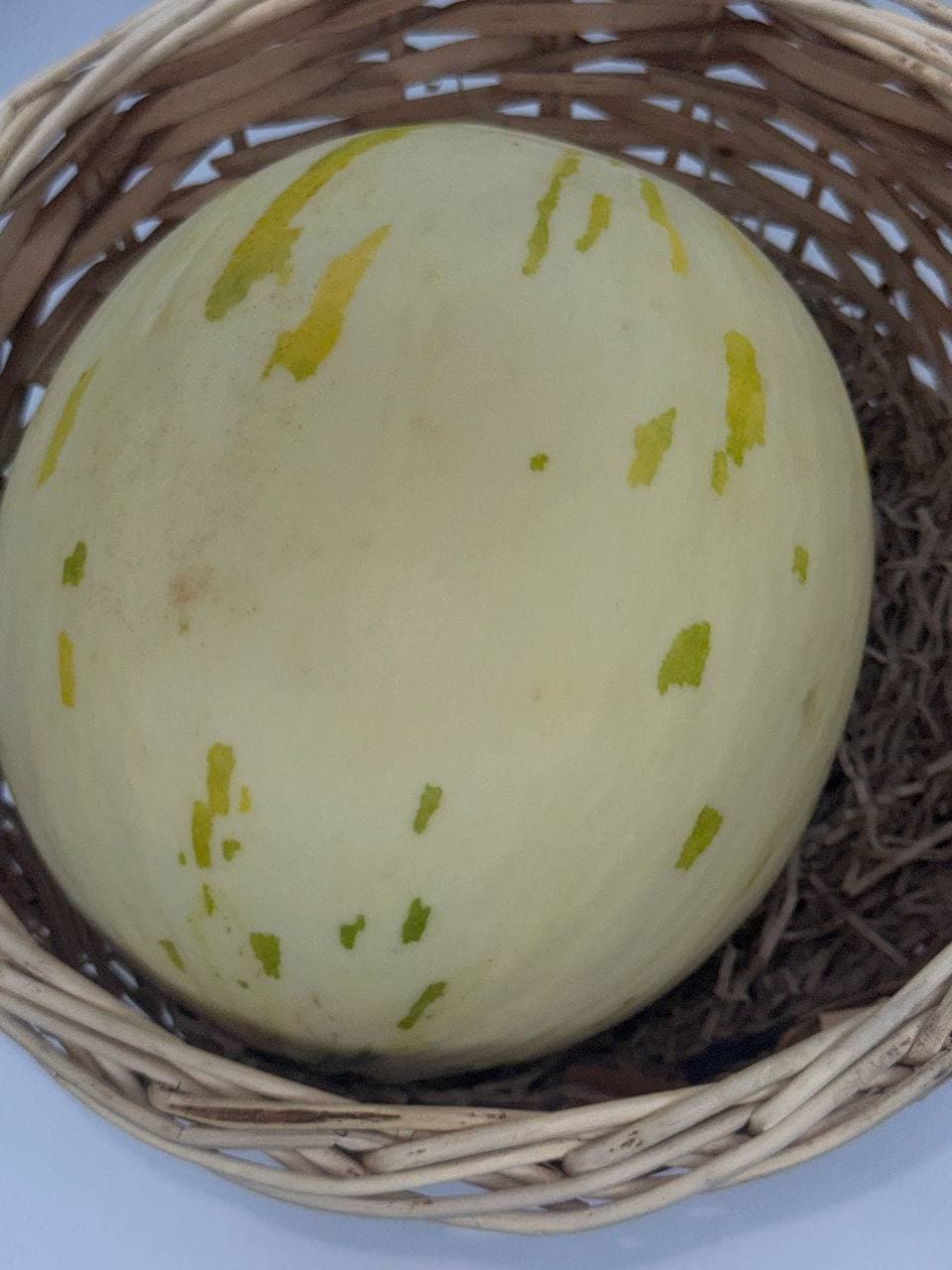 Дыня «Молочная» 1