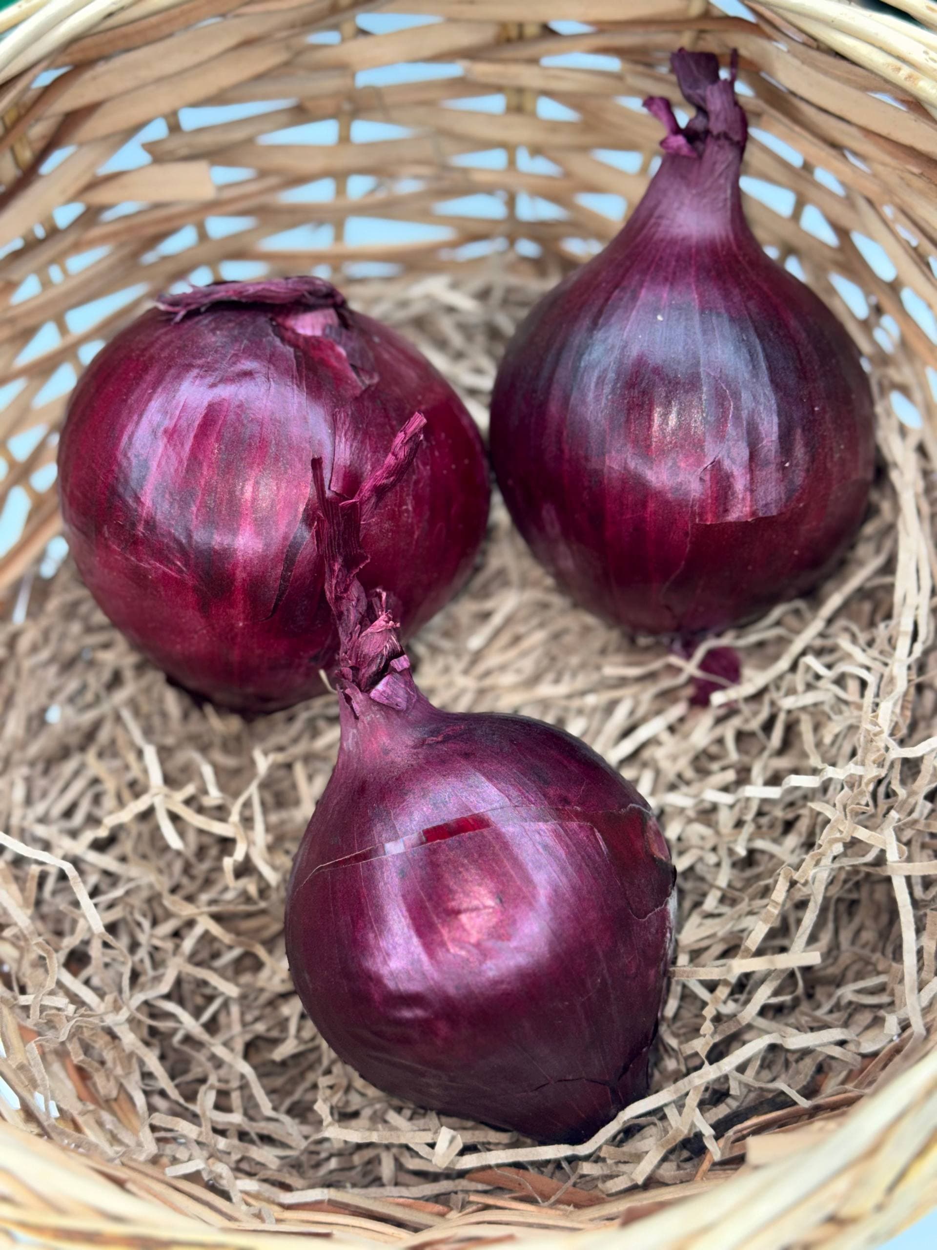 Лук красный 1