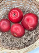 Яблоки «Айдаред» 1