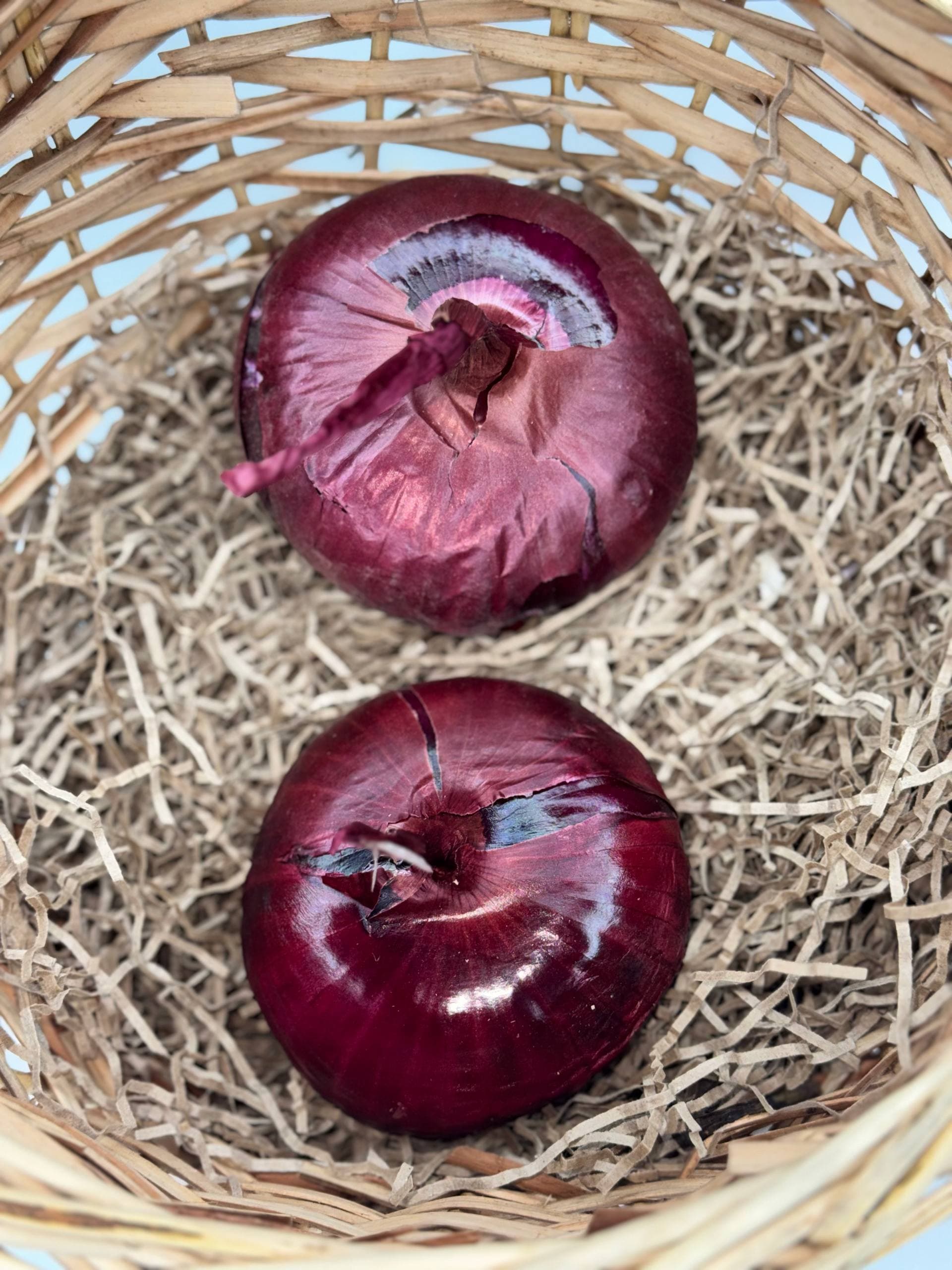 Лук красный «Ялта» 1