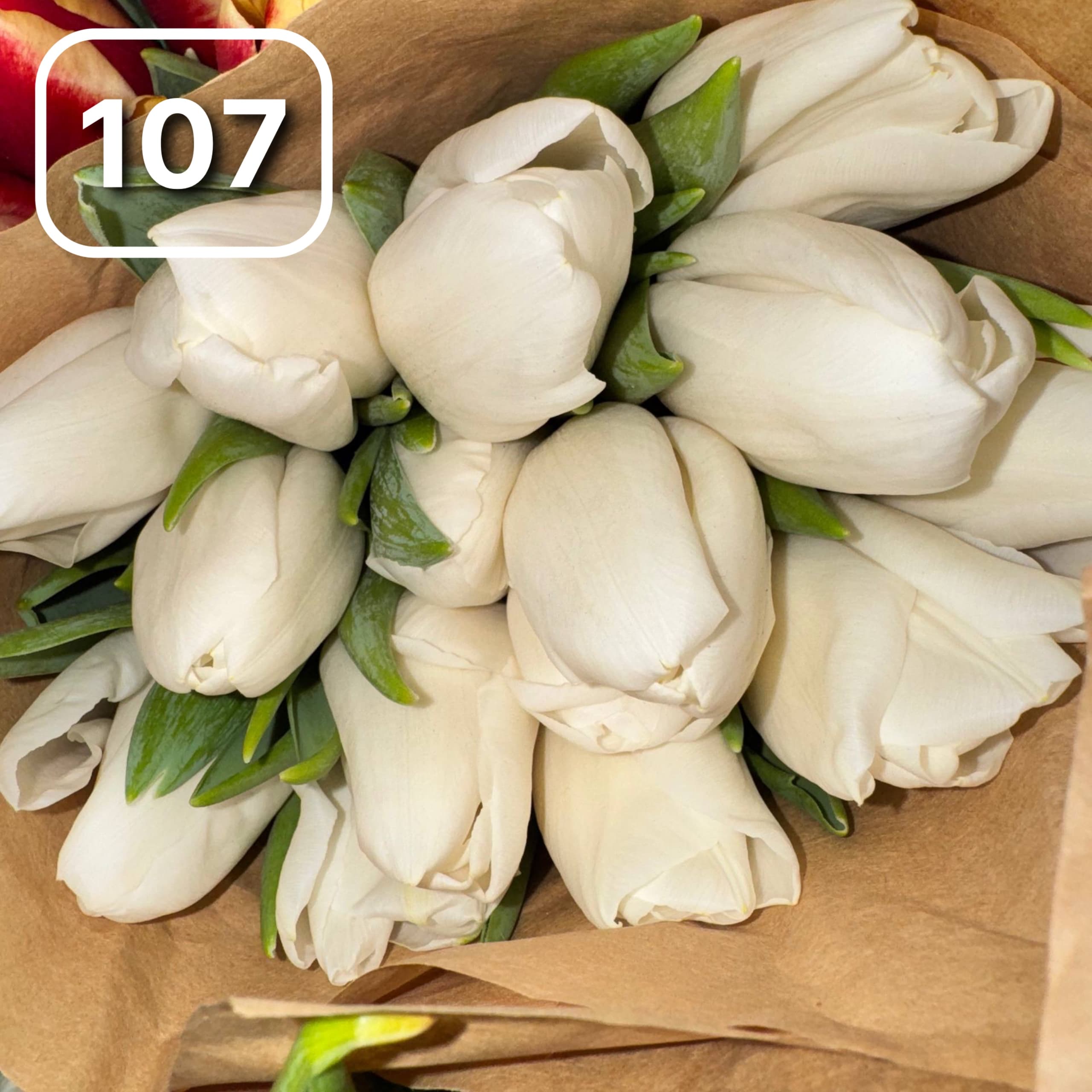 Тюльпаны сортовые №107 1