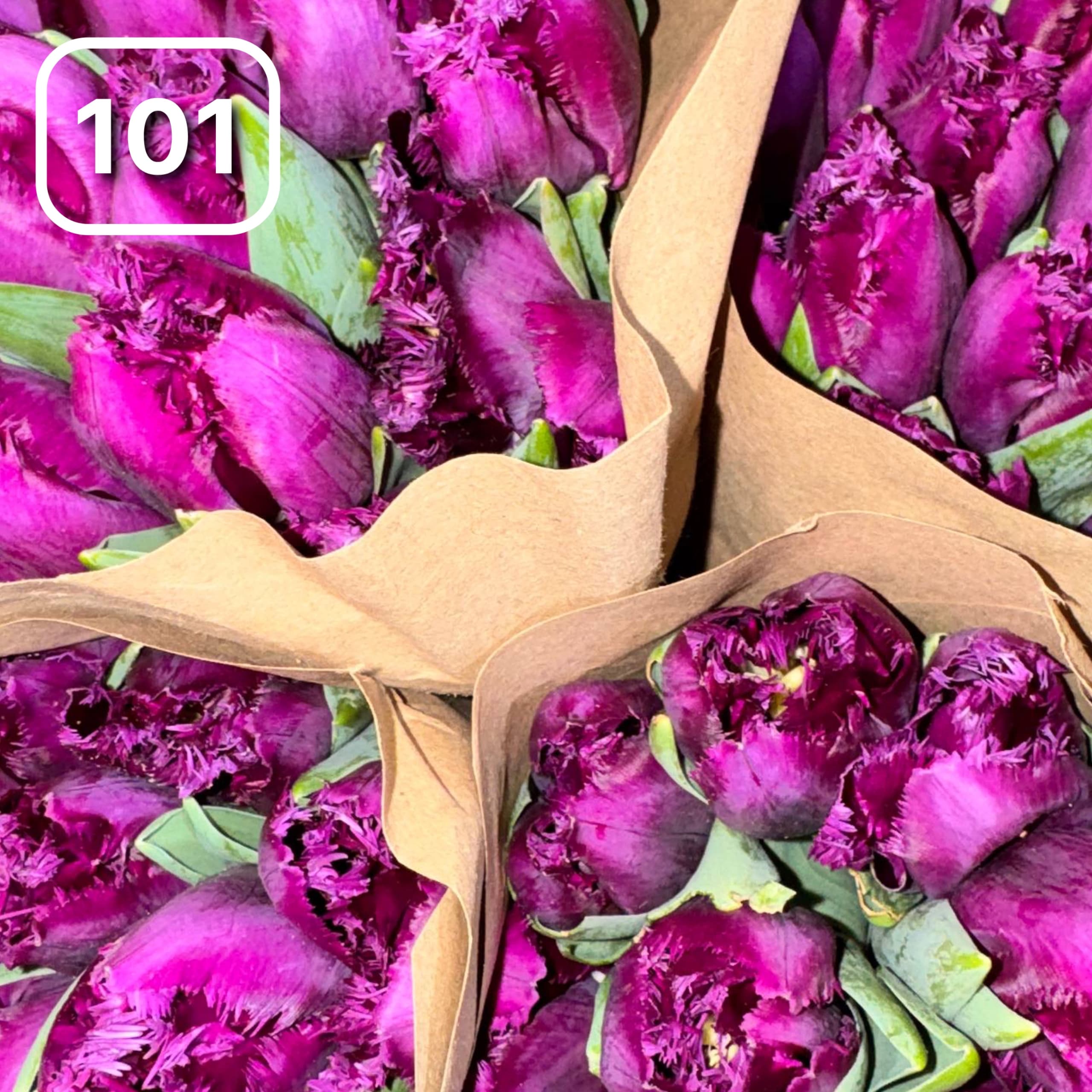 Тюльпаны №101 1