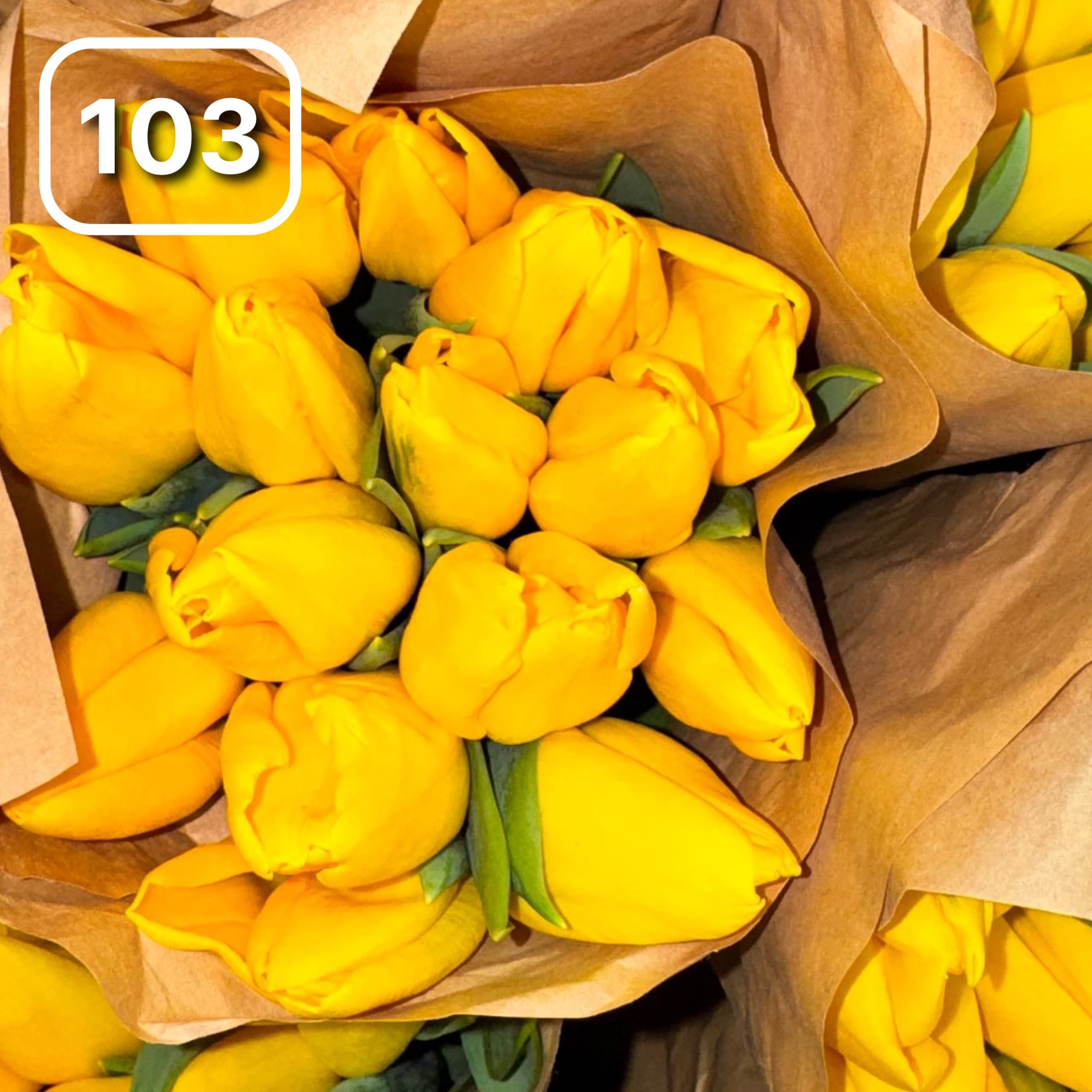 Тюльпаны №103 1