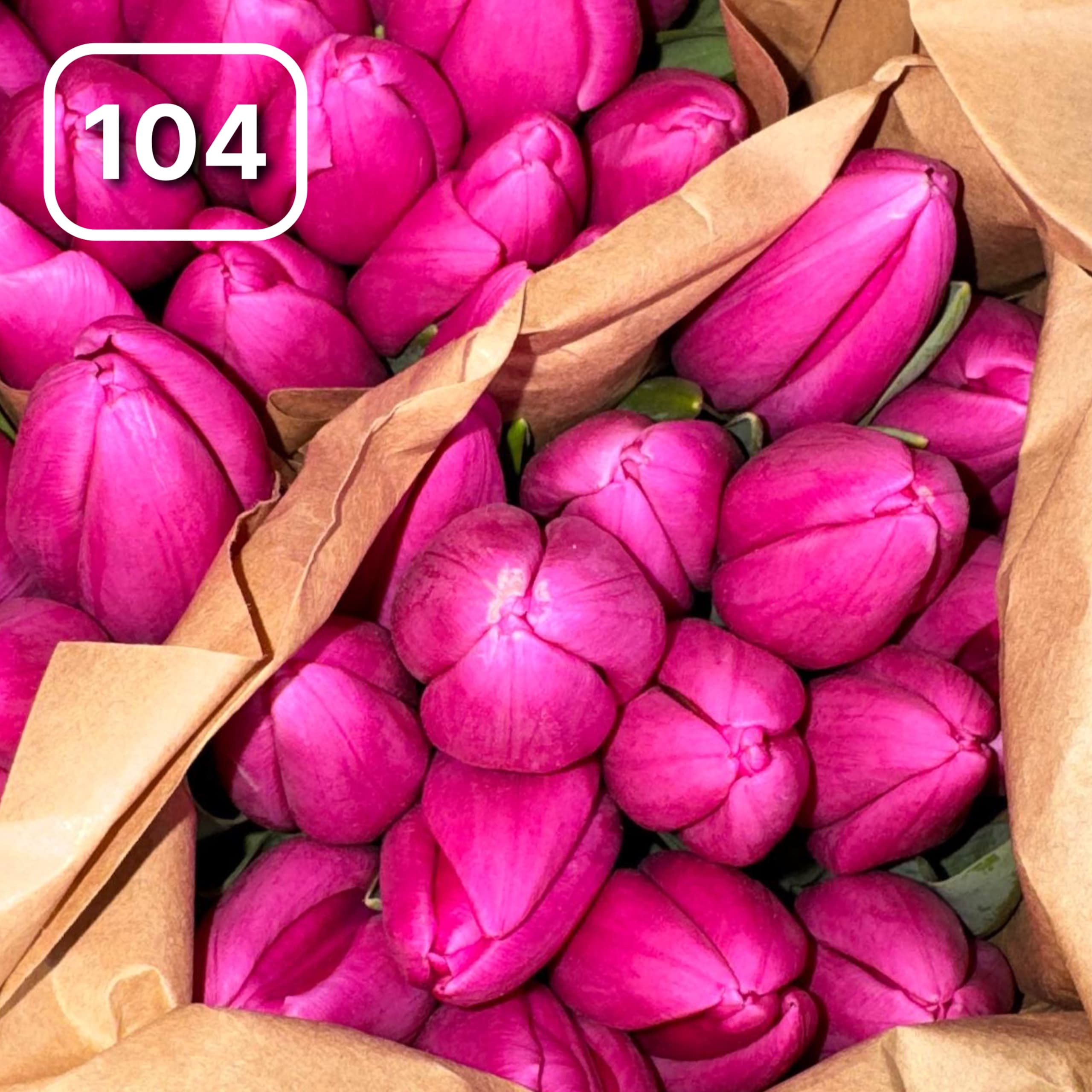 Тюльпаны №104 1