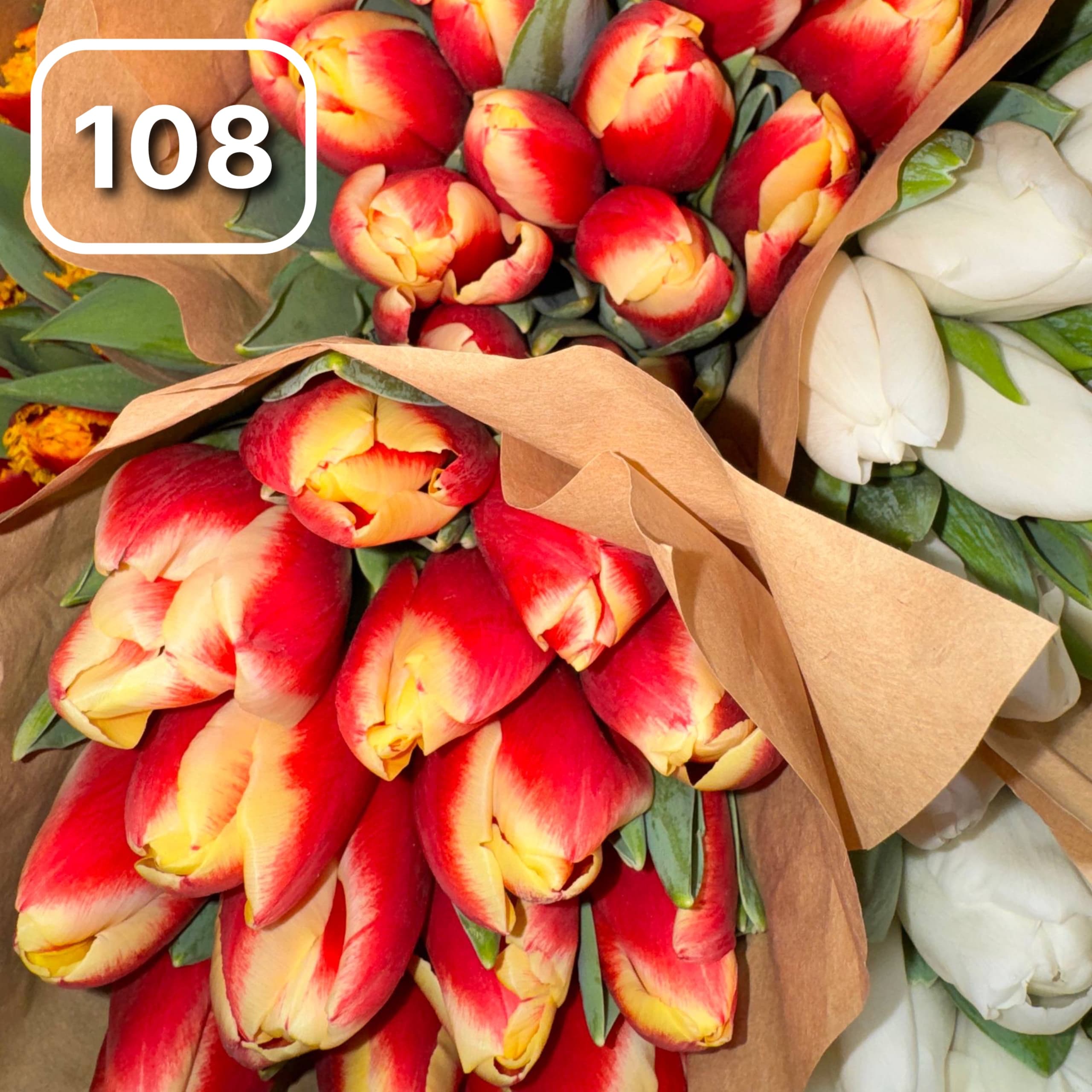 Тюльпаны сортовые №108 1