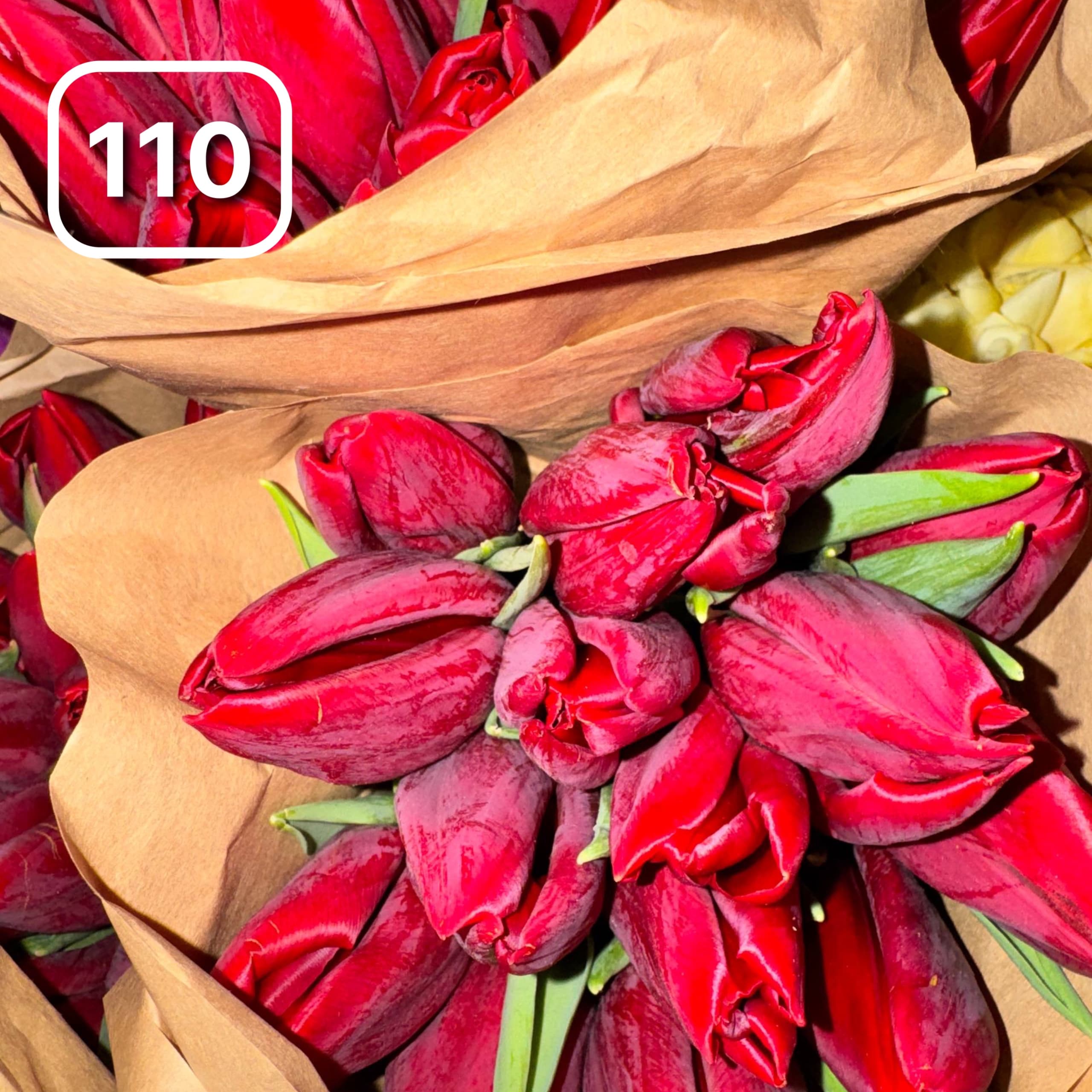 Тюльпаны сортовые №110 1