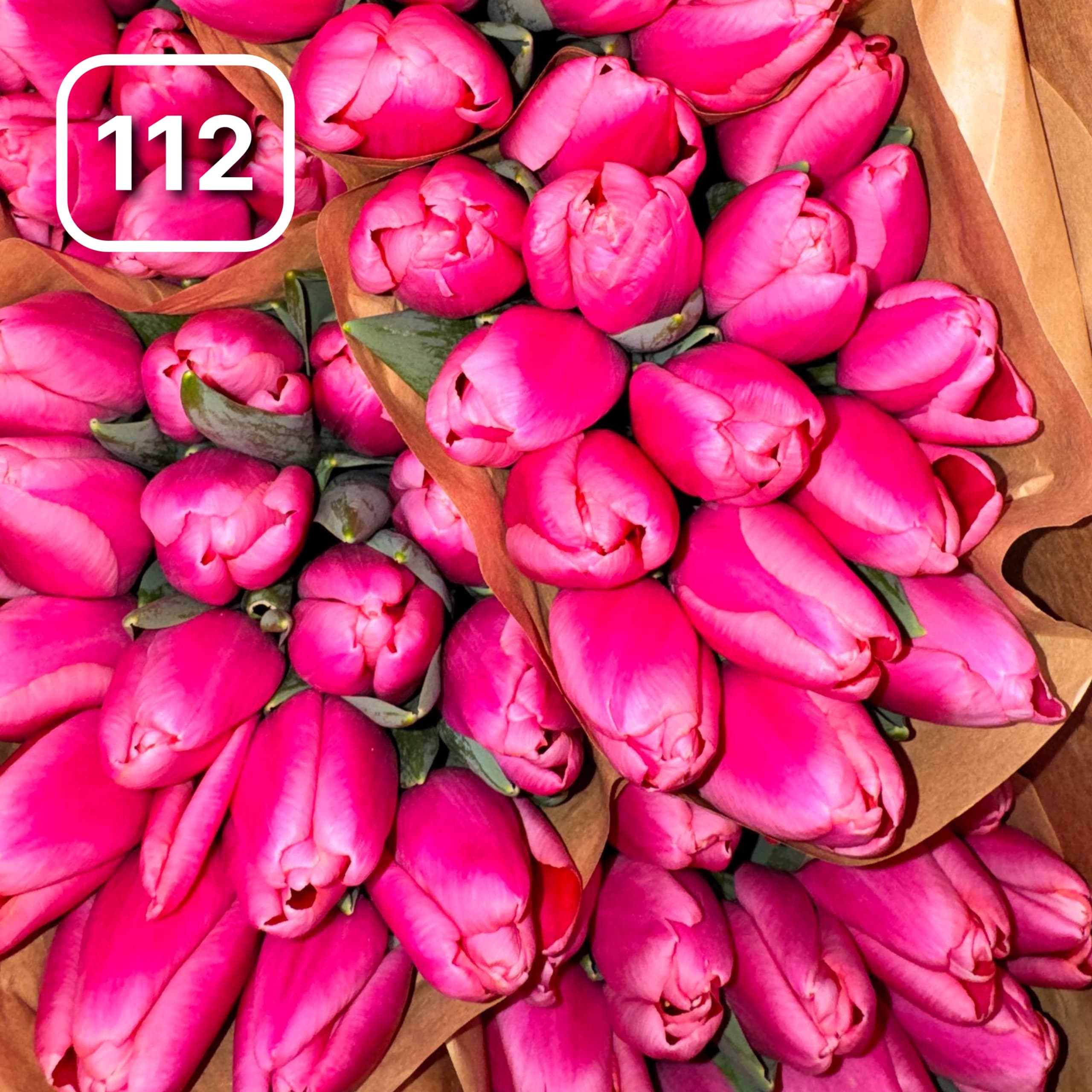 Тюльпаны сортовые №112 1