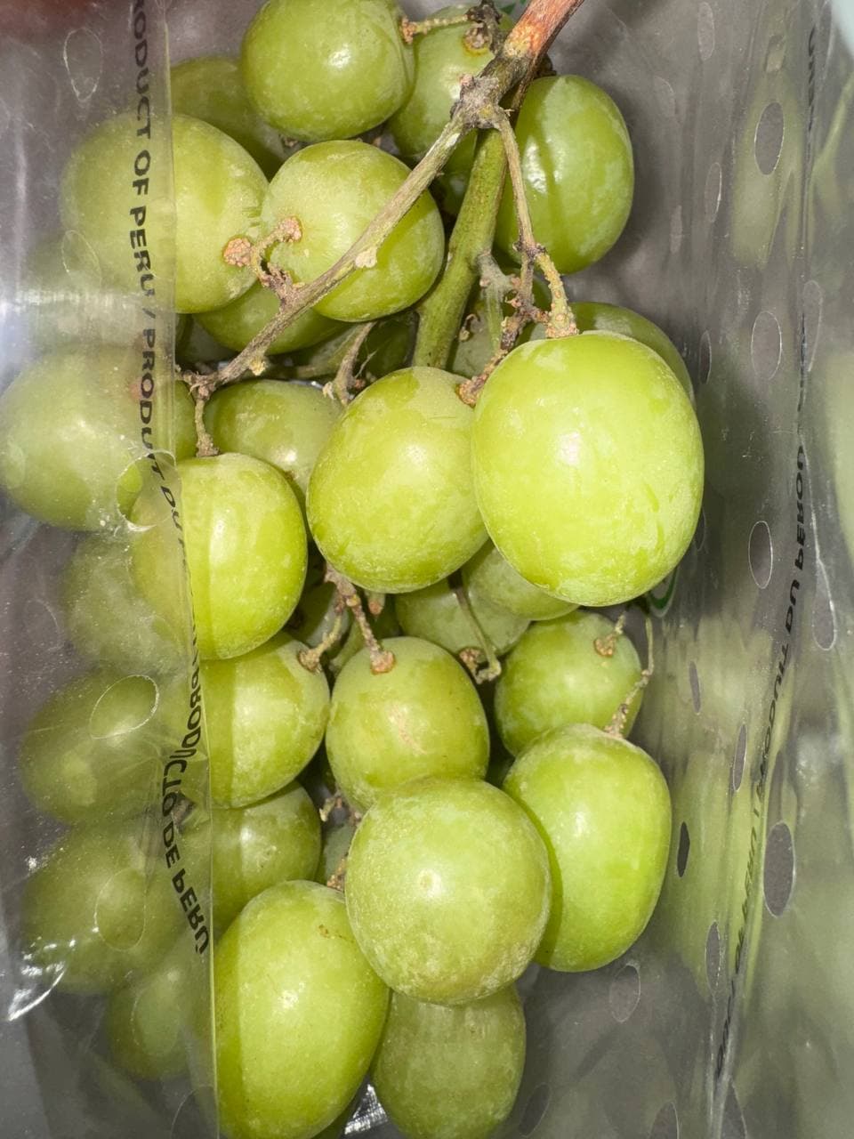 Виноград Сугран 1