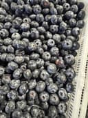 Голубика крупная 1кг 1