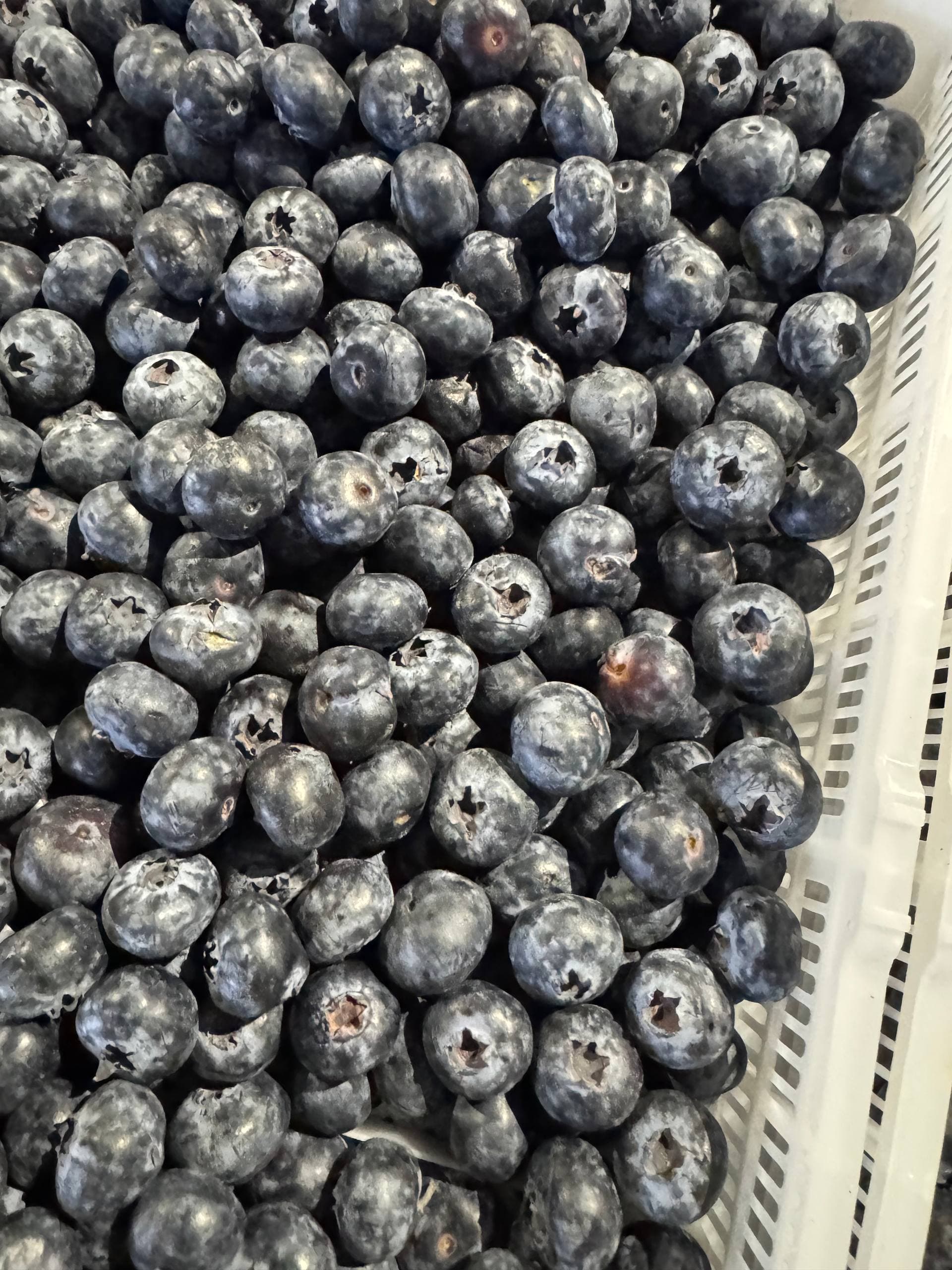 Голубика крупная 1кг 1