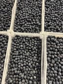 Голубика крупная 1кг 2