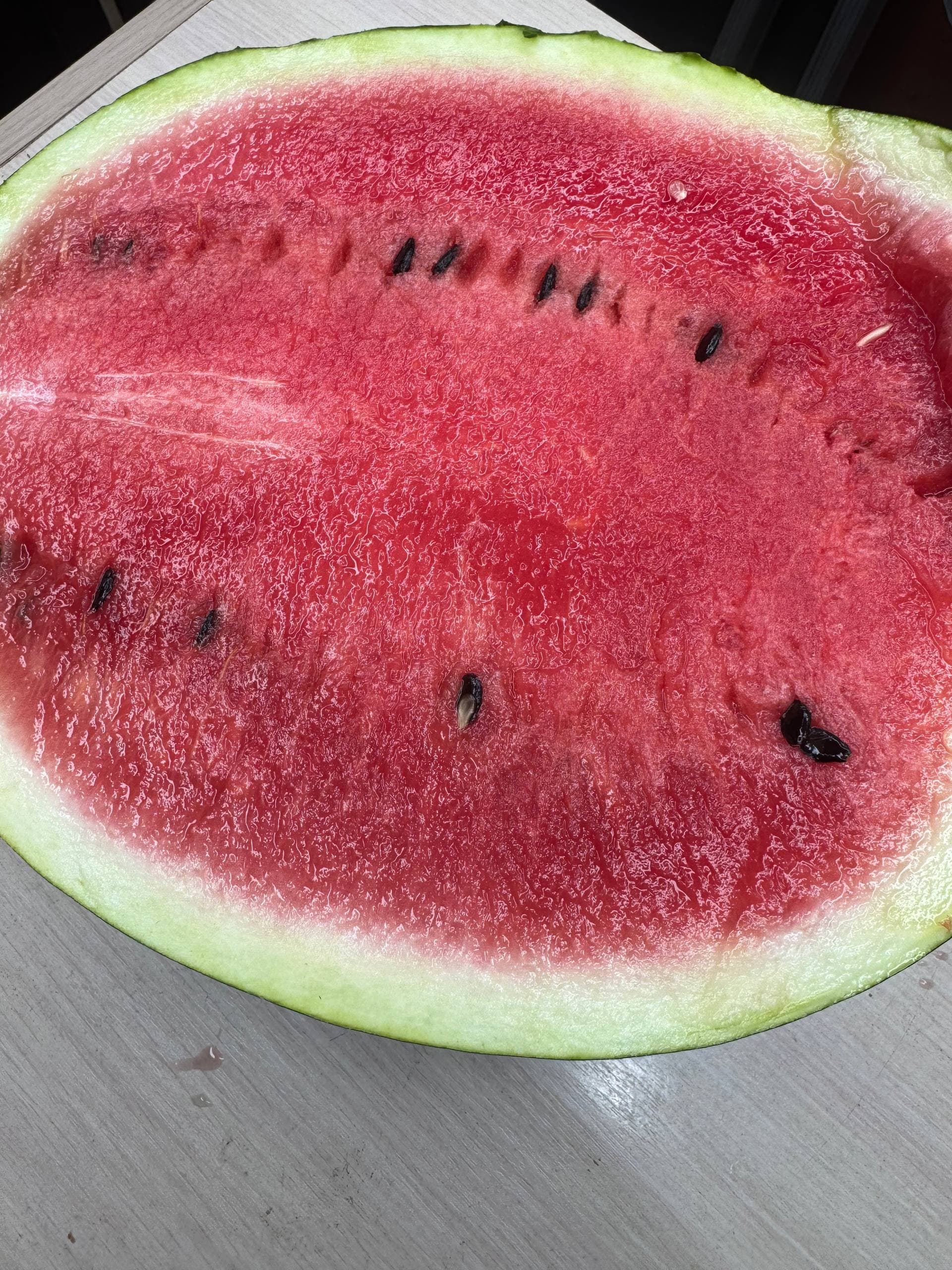 Арбуз Иран 1