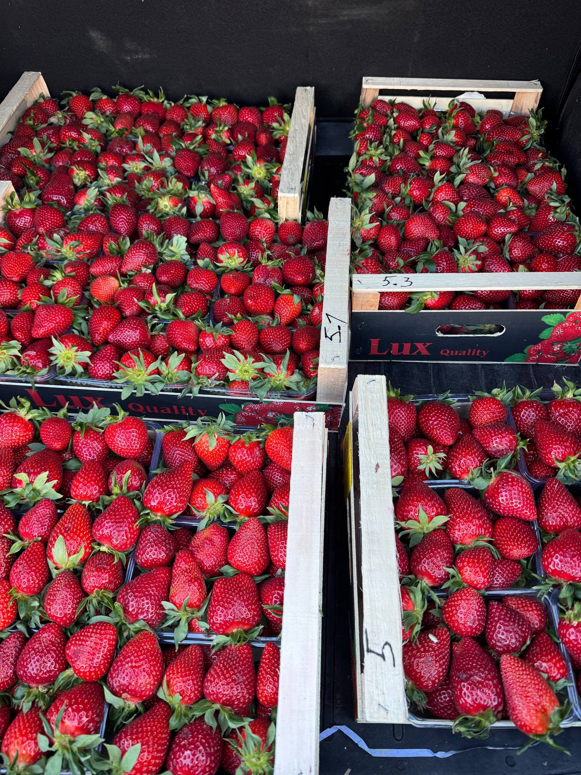 Клубника ящик 1