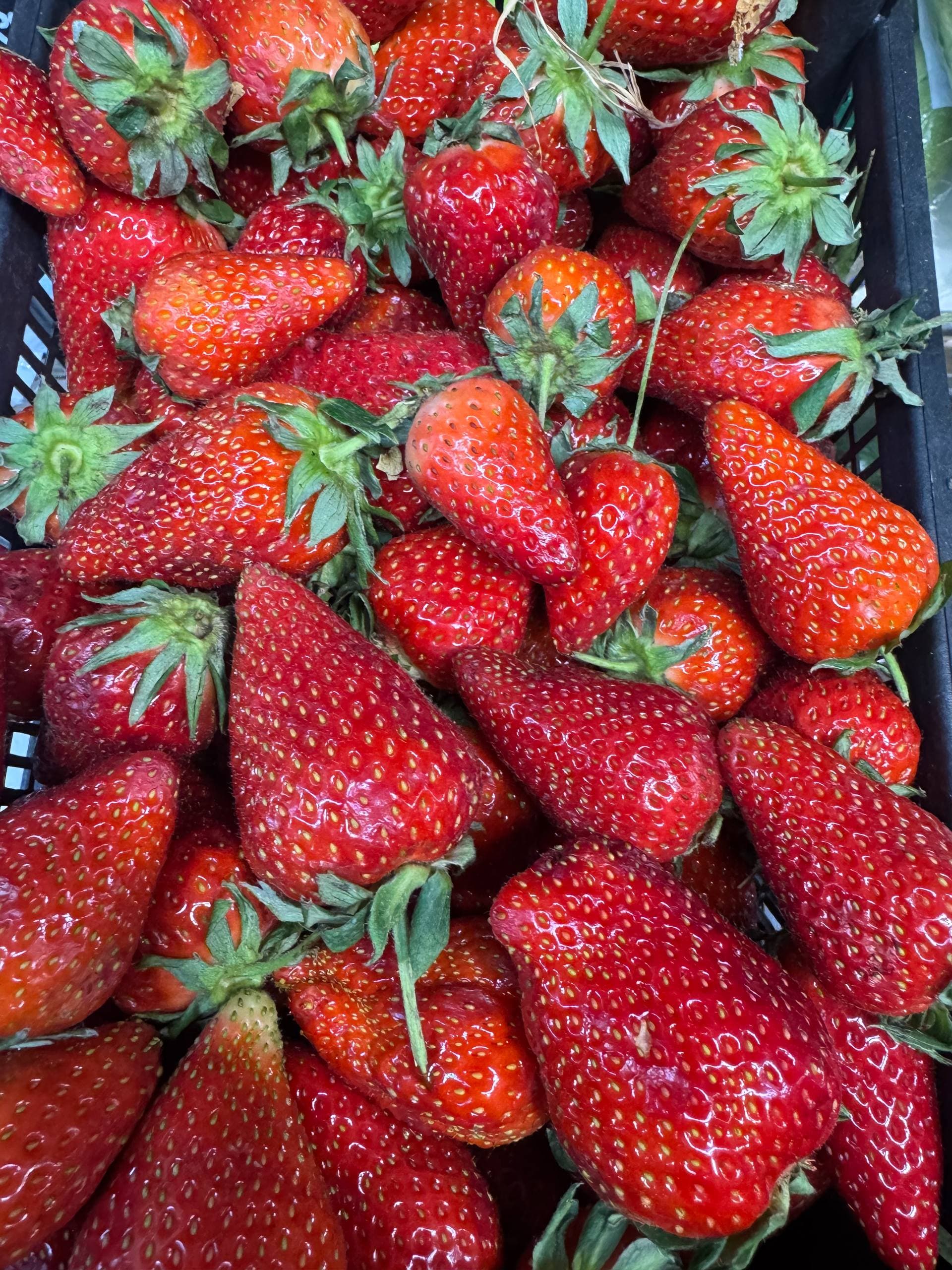 Клубника Азербайджан  1