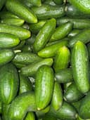 Огурцы Псков 1