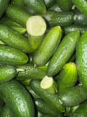Огурцы Псков 2