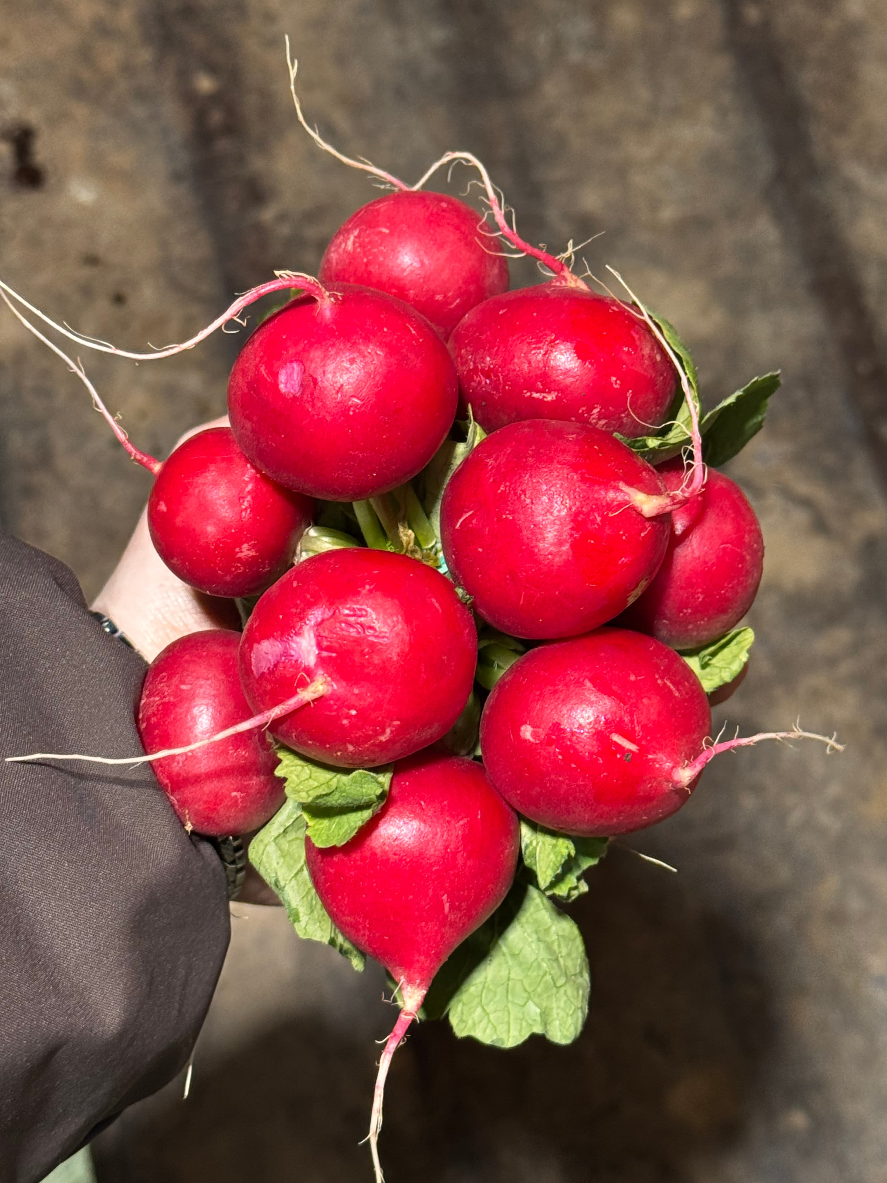 Набор «Шашлычный» 1