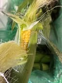 Набор «Шашлычный» 2