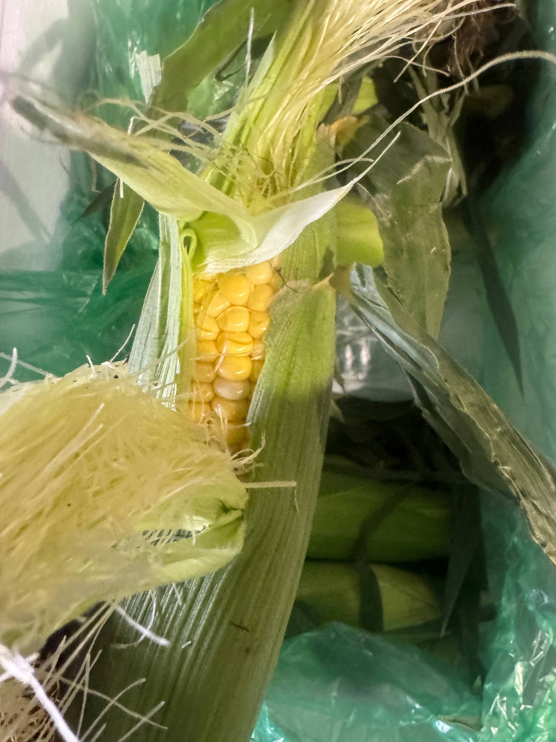 Набор «Шашлычный» 2