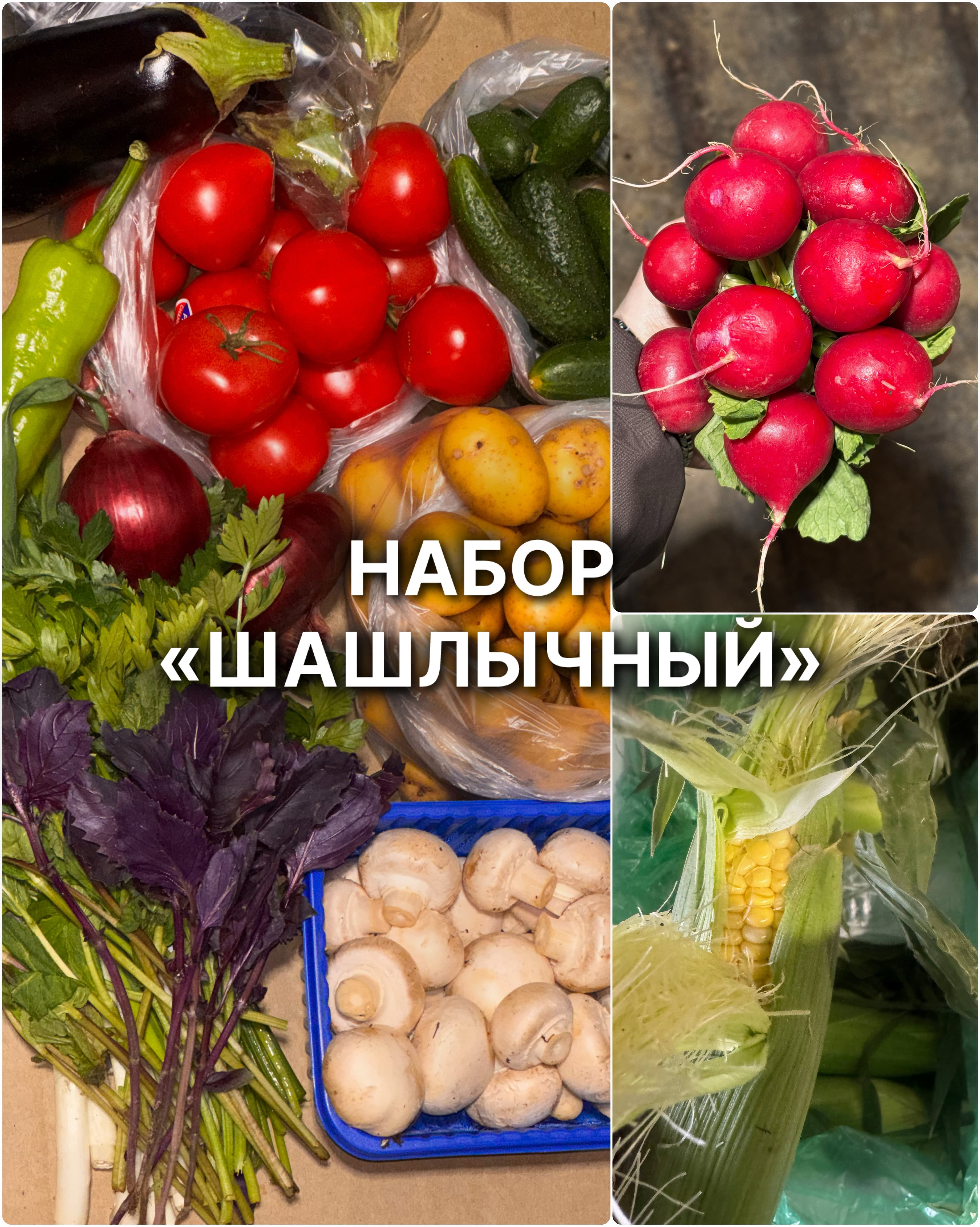 Набор «Шашлычный» 3