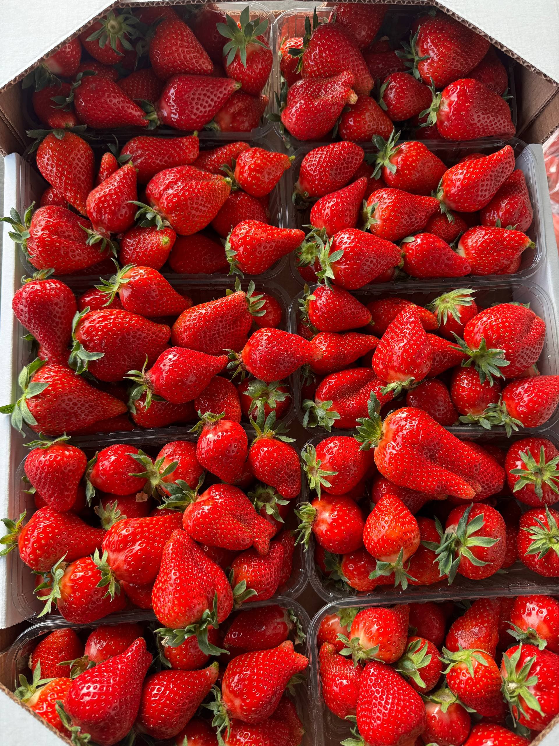 Клубника Кубанская 1кг 1