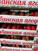 Клубника Кубанская 1кг 2