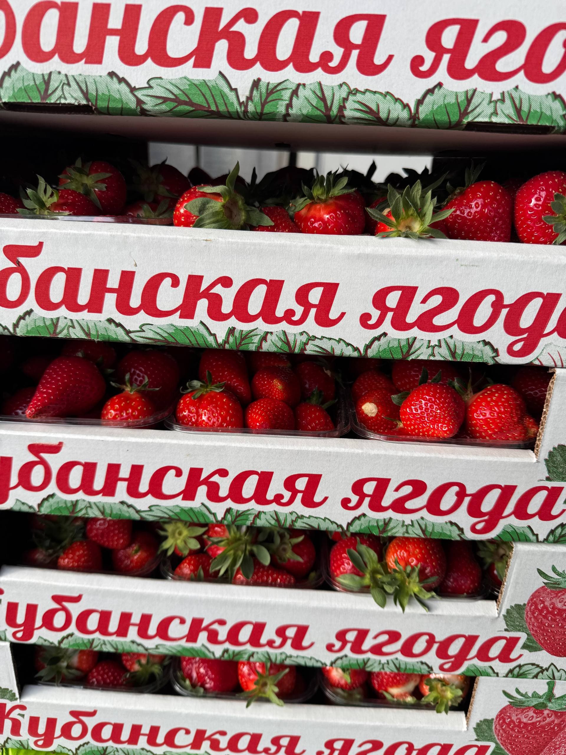 Клубника Кубанская 1кг 2