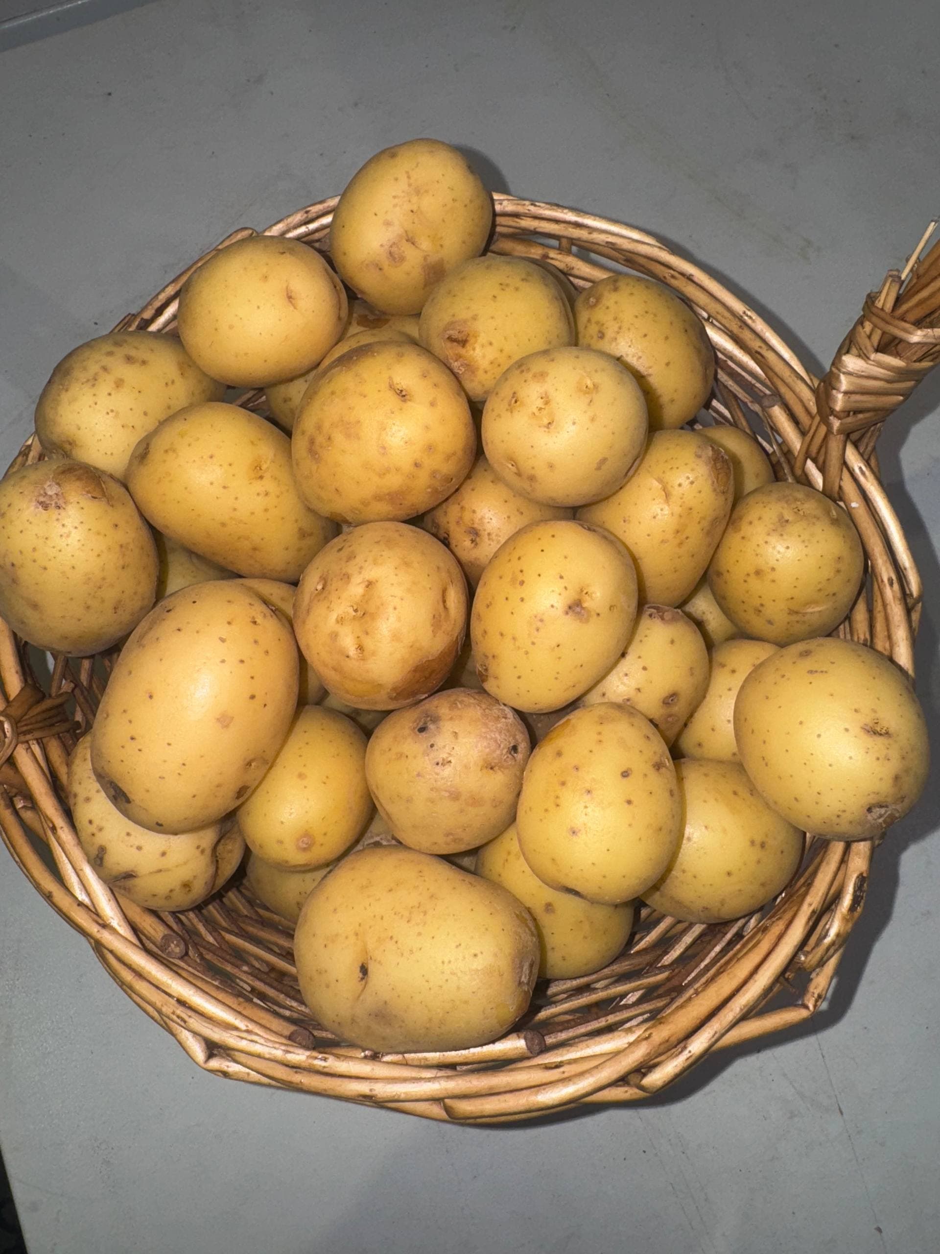 Картофель беби 1