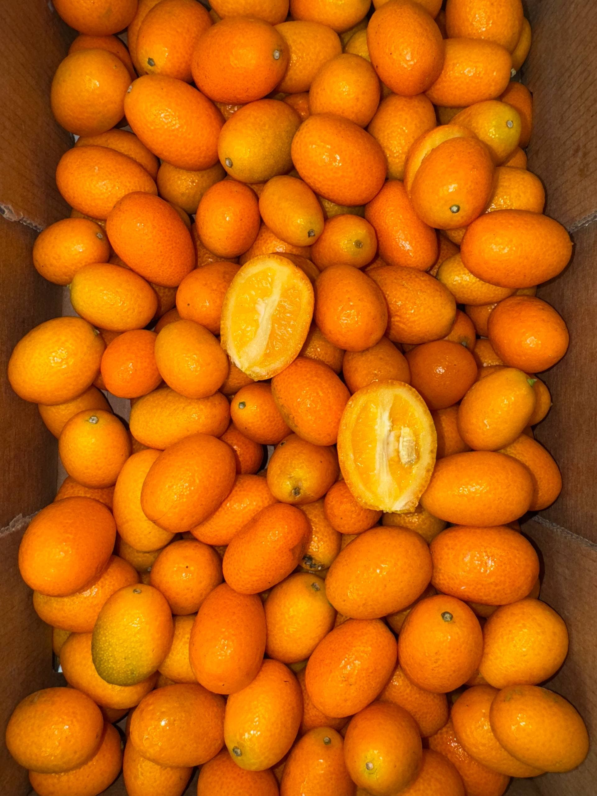 Кумкват 1