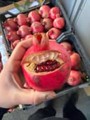 Гранат для сока ЯЩИК 1
