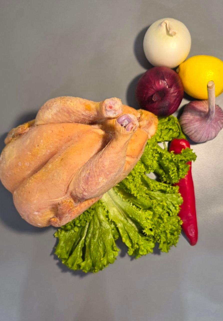 Кура домашняя кукурузный откорм 1