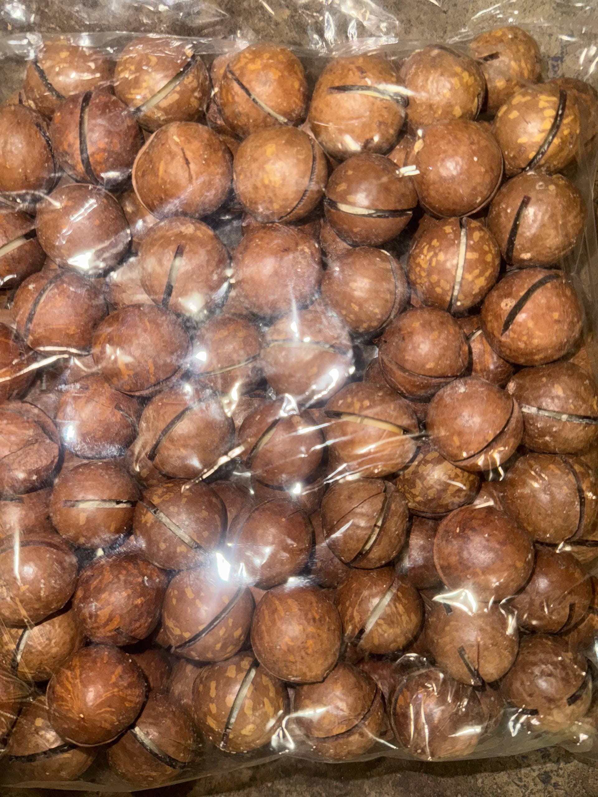 Орех макадамия 2