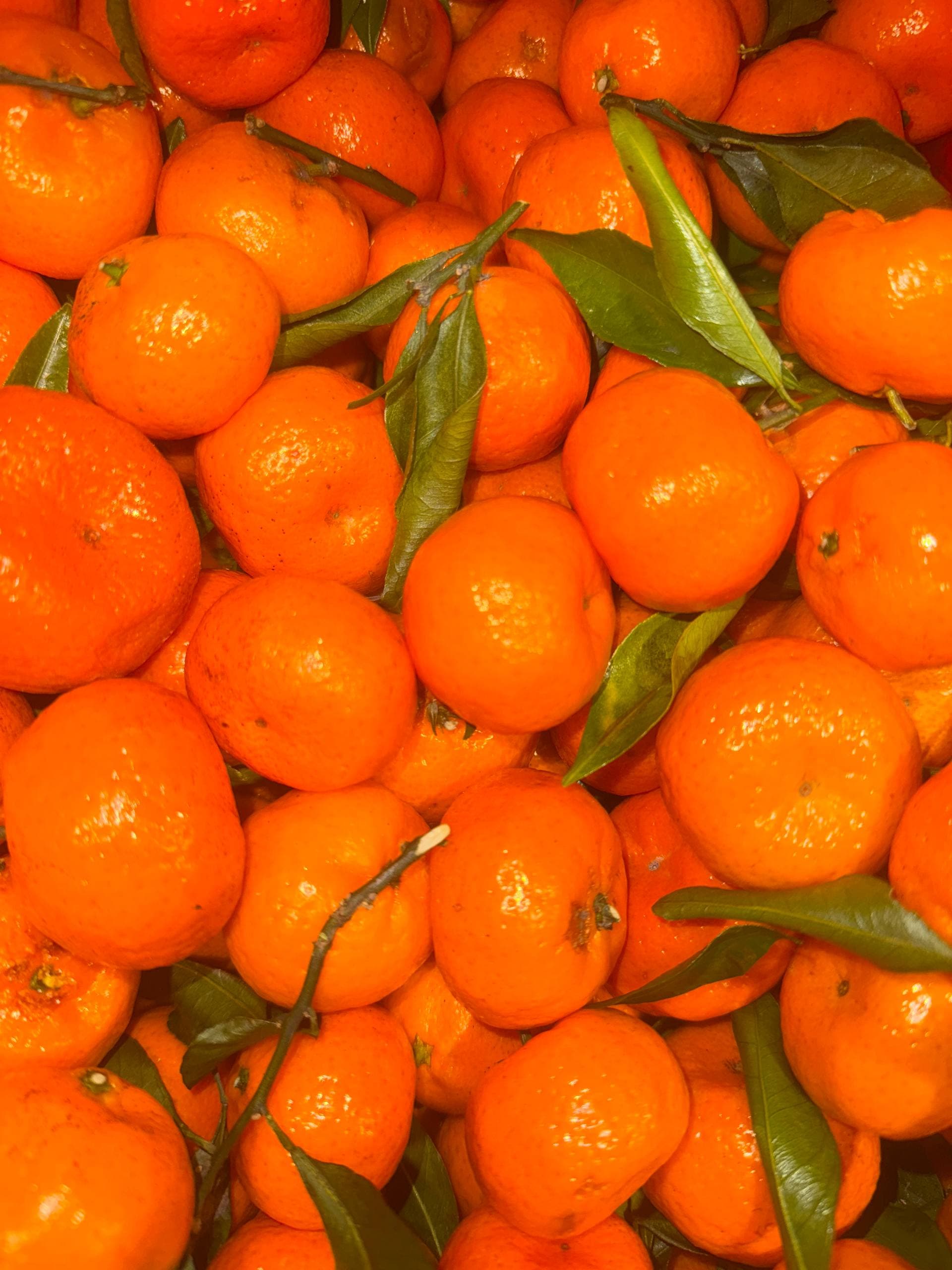 Мандарины Беби 2