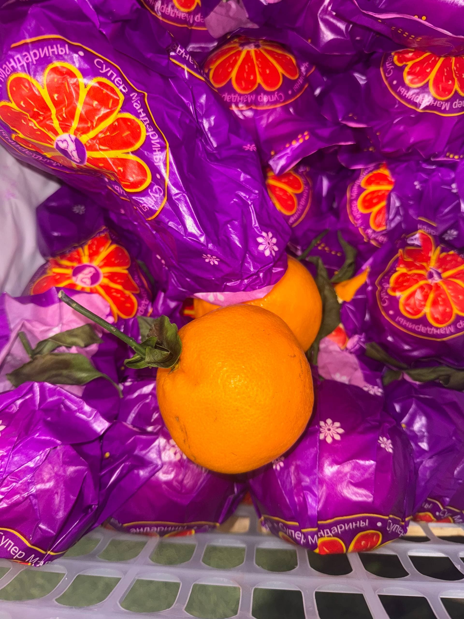 Мандарин Папаган 1