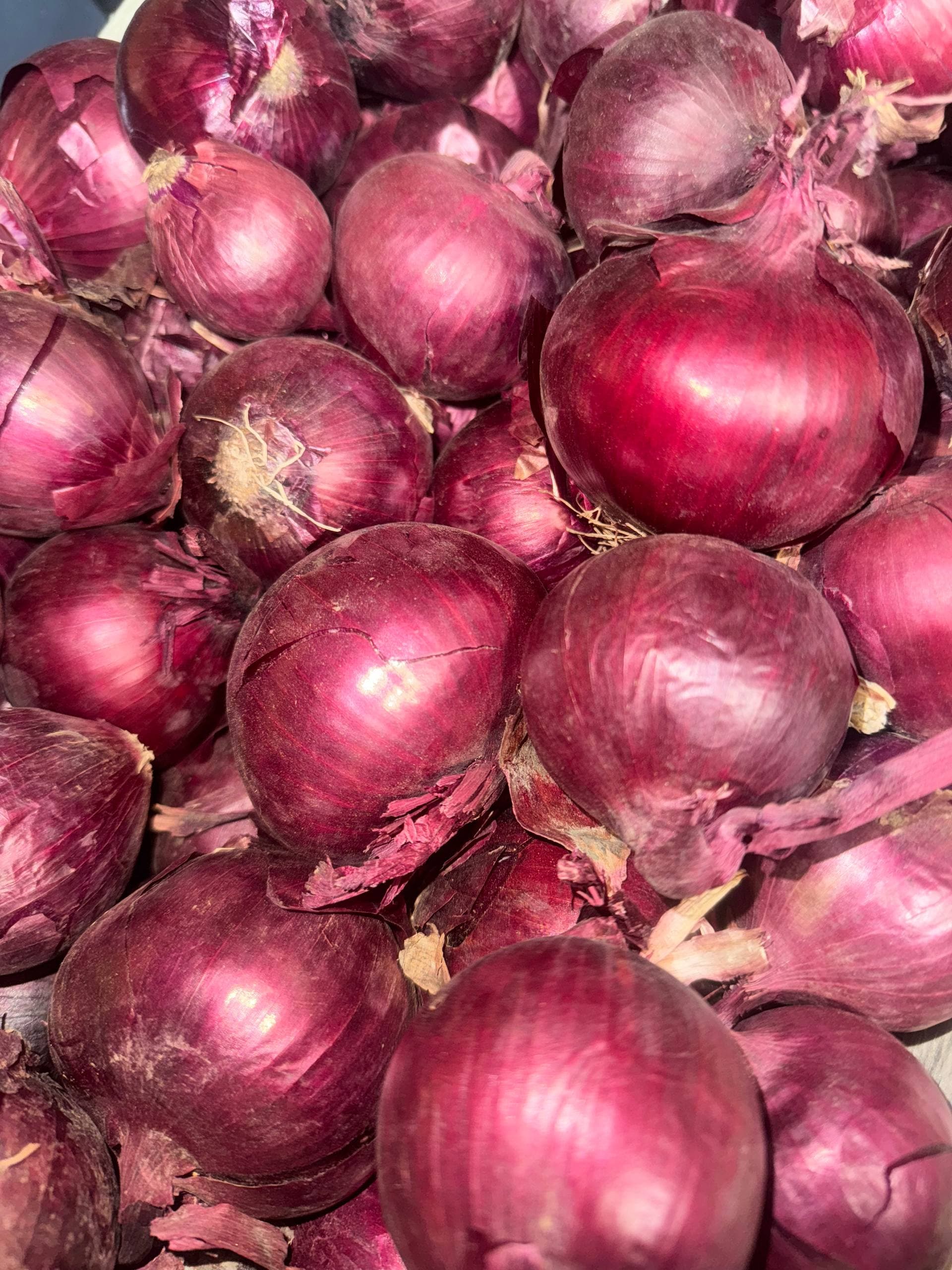 Лук красный 2