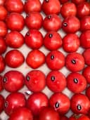 Помидоры Азербайджан 2