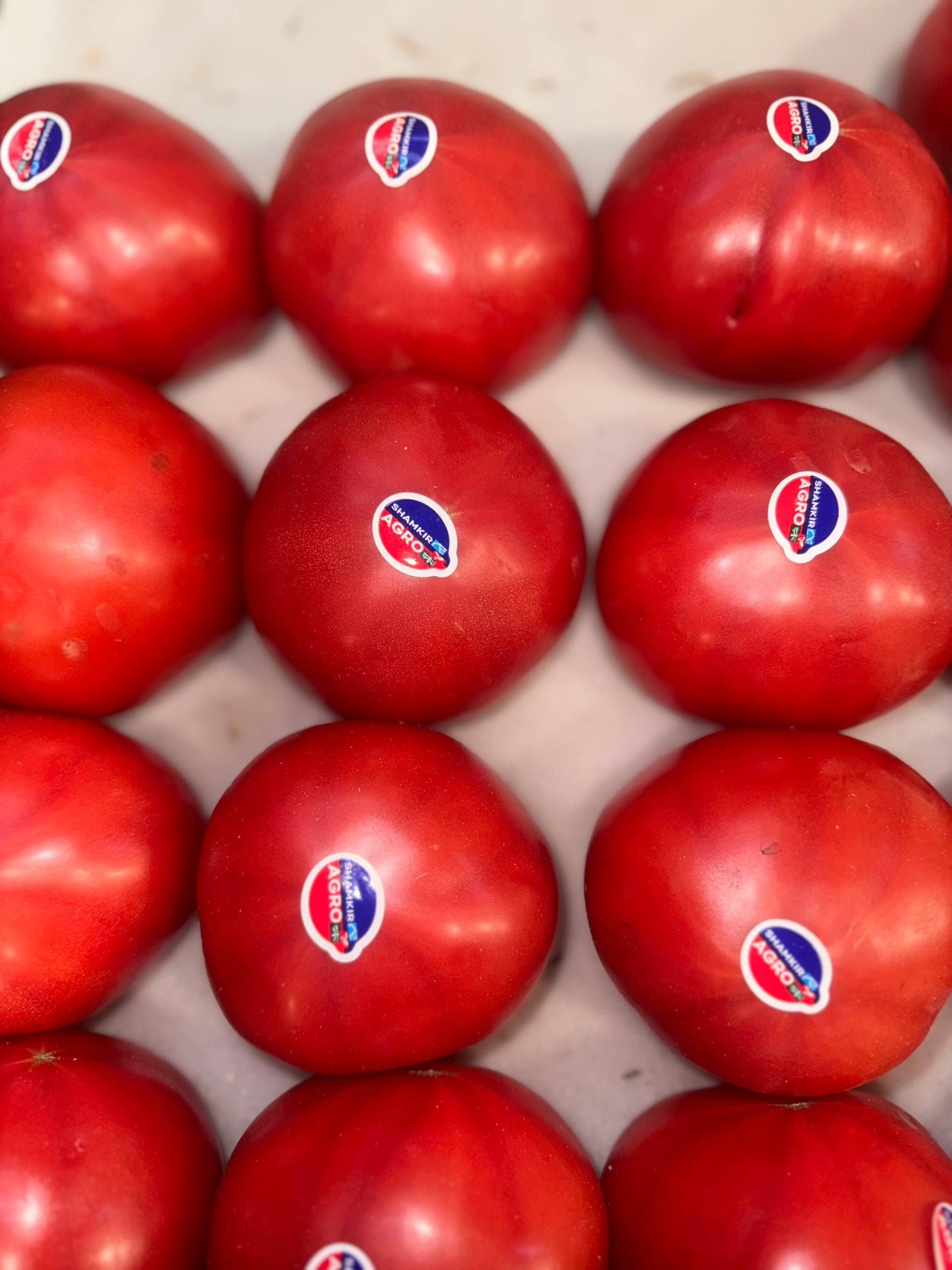 Помидоры Бычье сердце 2