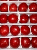 Помидоры Узбекистан 2