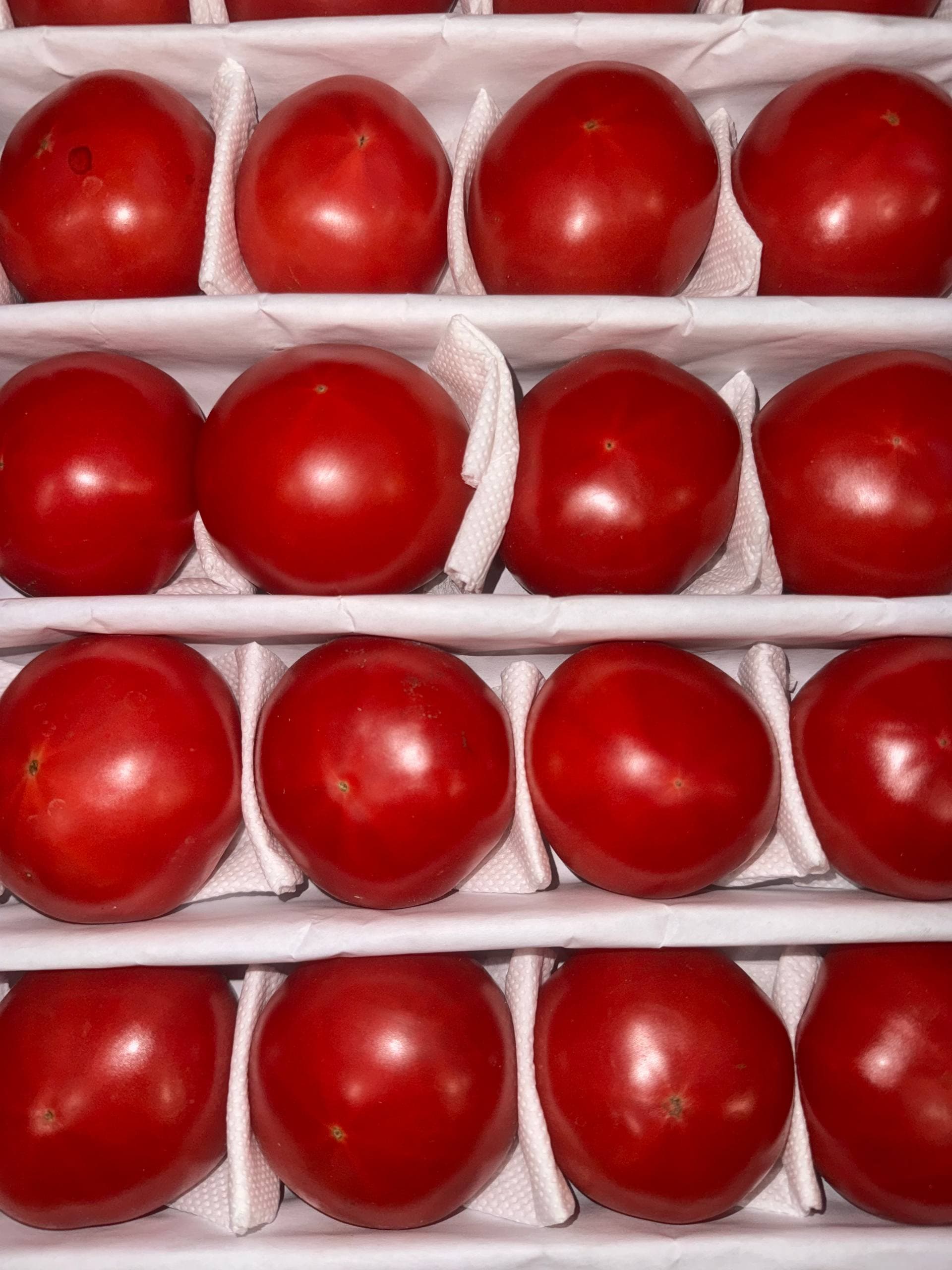 Помидоры Узбекистан 2