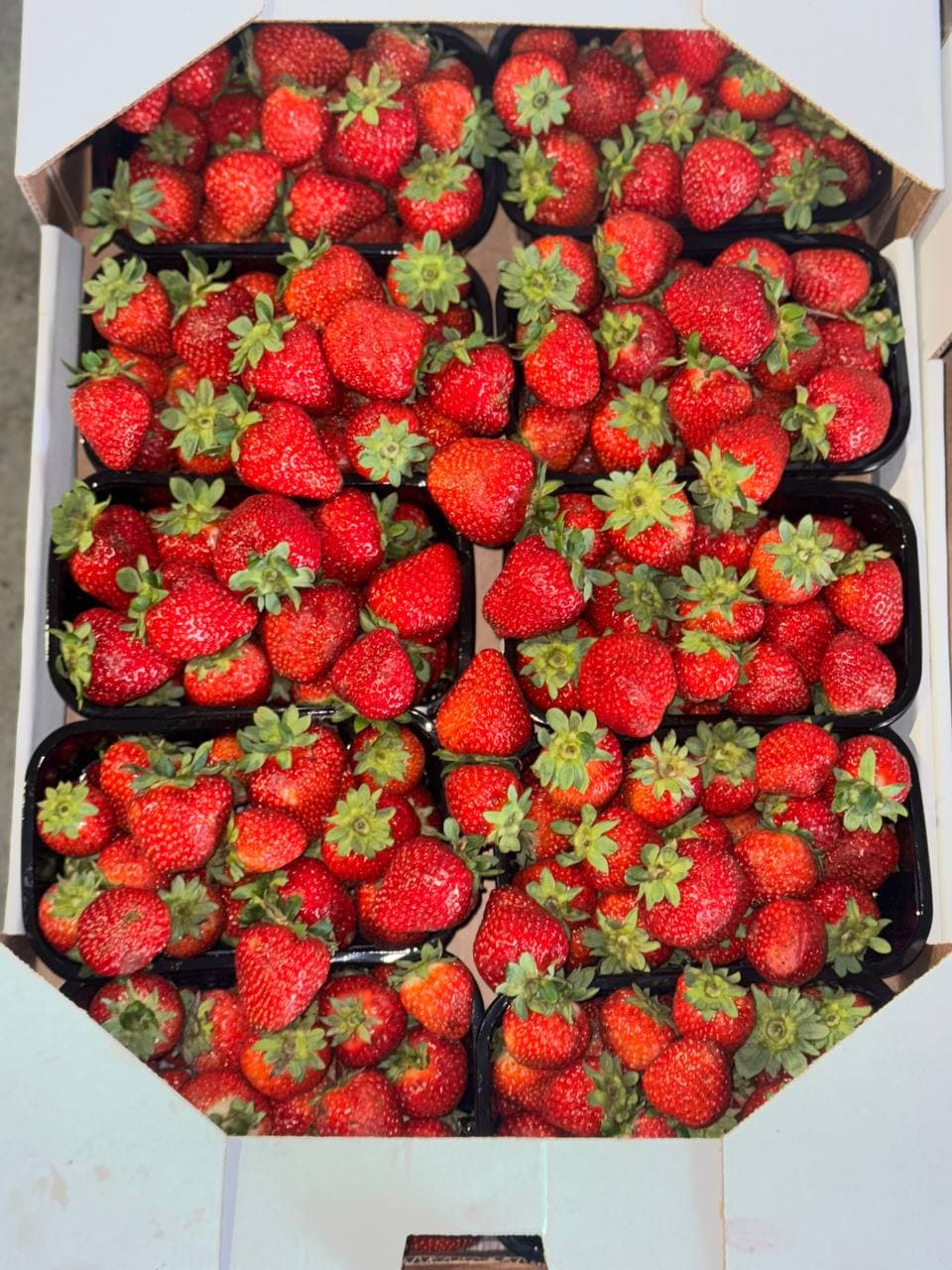 Белорусская клубника