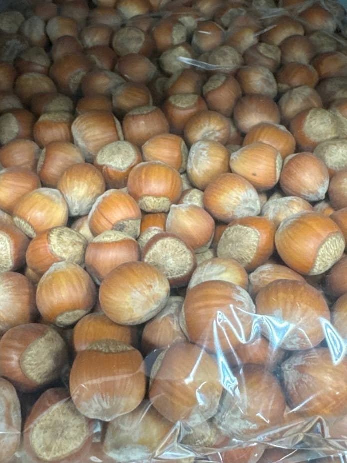 Фундук в скорлупе 1
